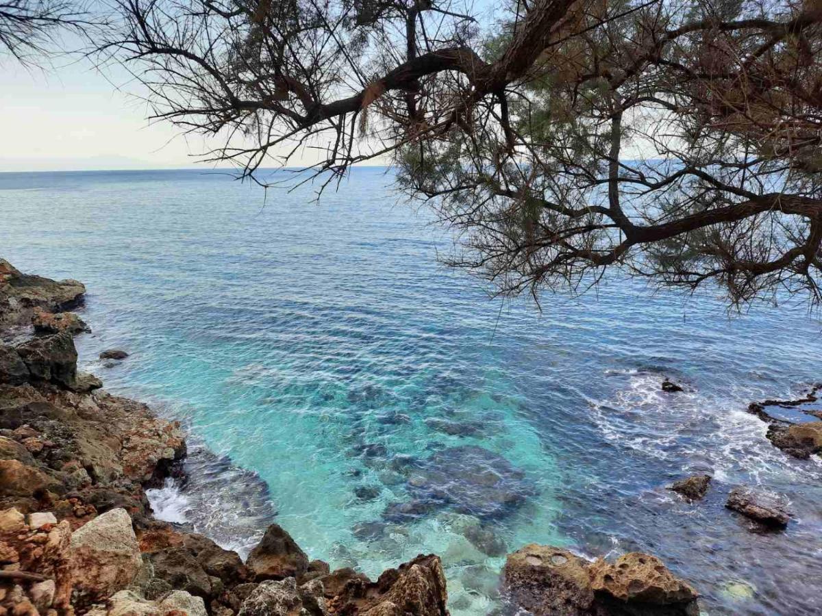 New Sea Escape Boutique Apt-Agii Aposto Li Beach Chania  Exterior photo