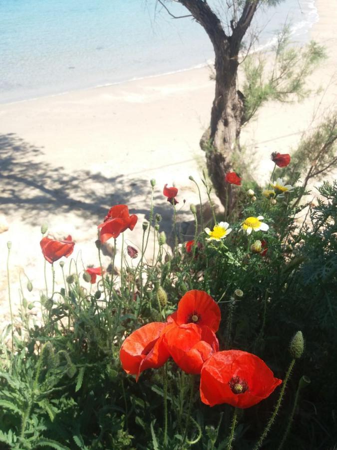 New Sea Escape Boutique Apt-Agii Aposto Li Beach Chania  Exterior photo
